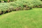 Laharumlawn-mowing-20.jpg; ?>